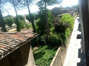320413_10150952777343197_205269797_n The view from my studio